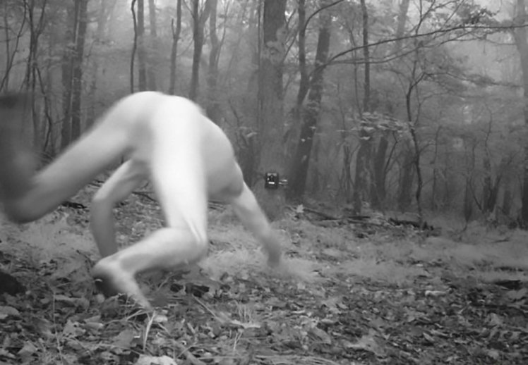 O homem nu foi fotografado com uma câmera escondida deixada em uma floresta para tirar fotos de animais na natureza (Figura: CEN)